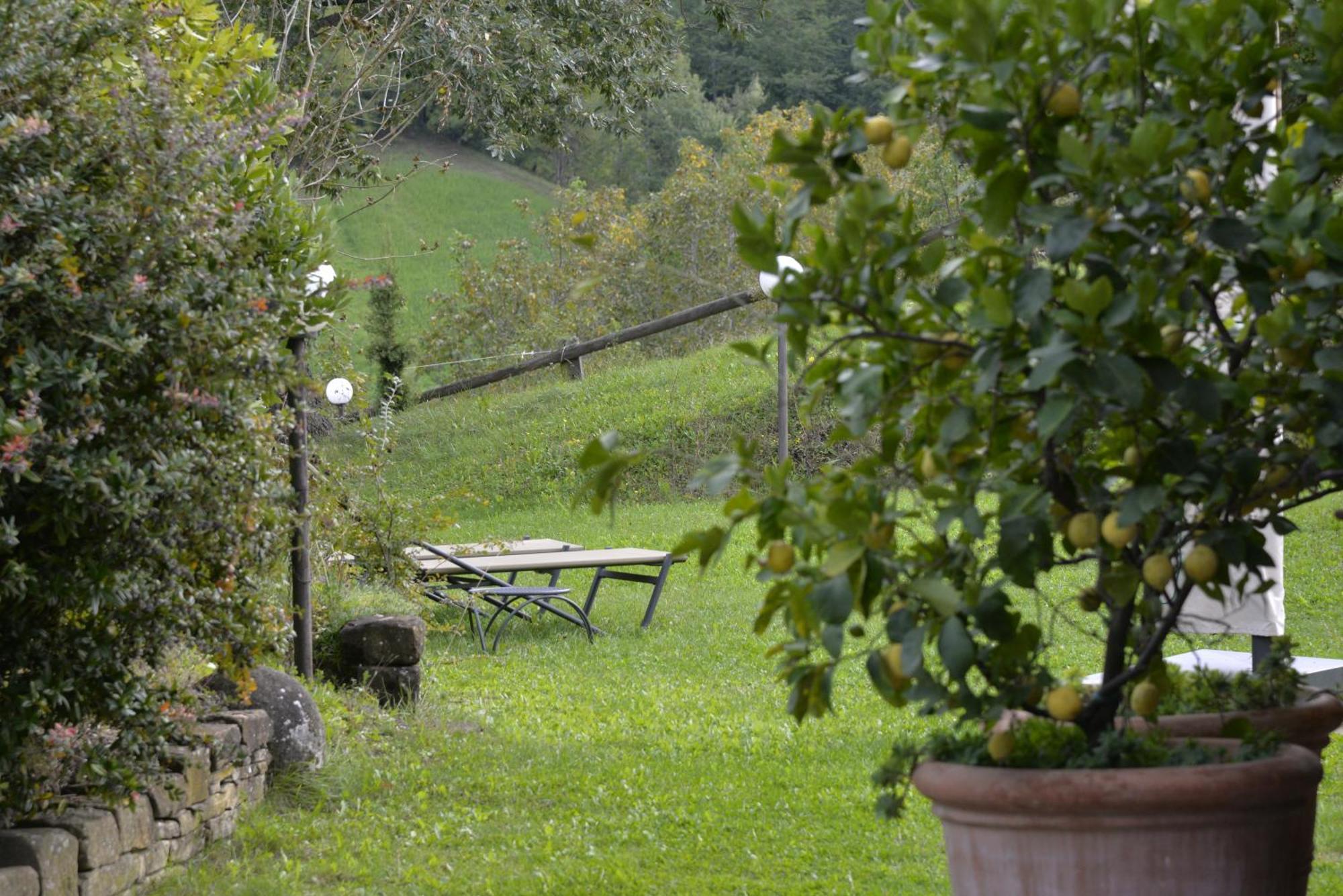 Agriturismo Campo Del Pillo Pietradura Exteriör bild