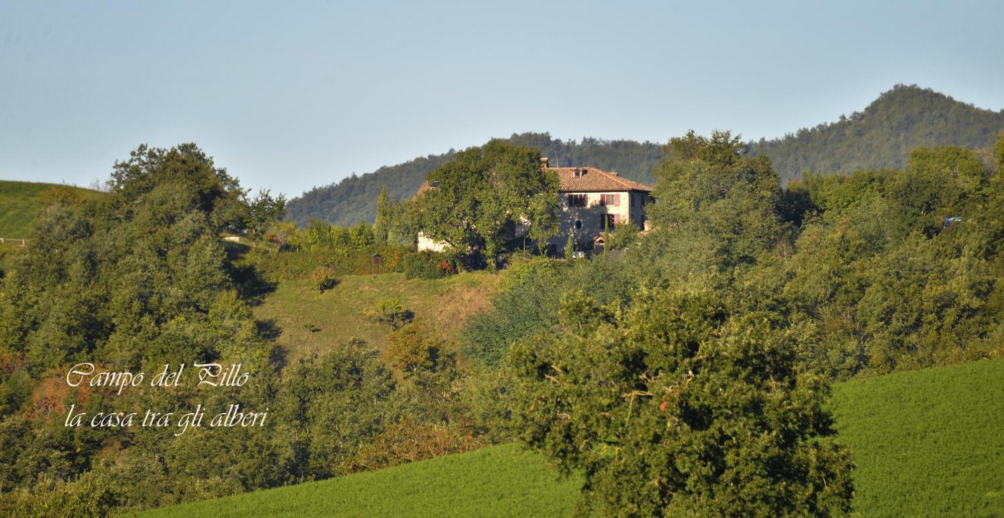 Agriturismo Campo Del Pillo Pietradura Exteriör bild