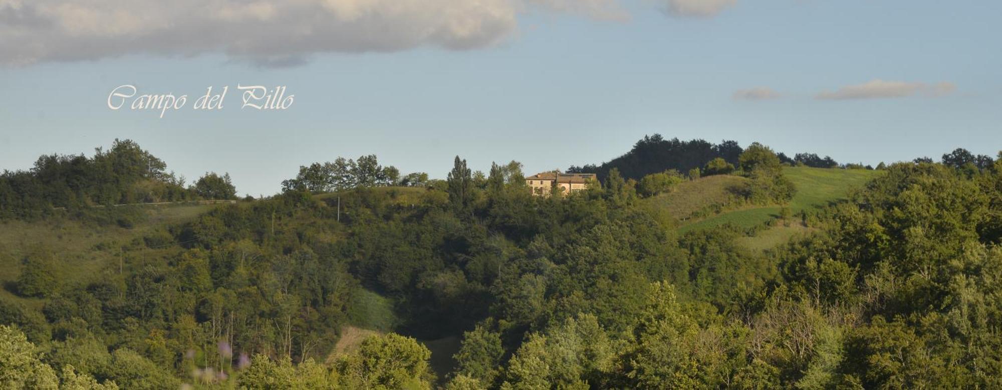 Agriturismo Campo Del Pillo Pietradura Exteriör bild