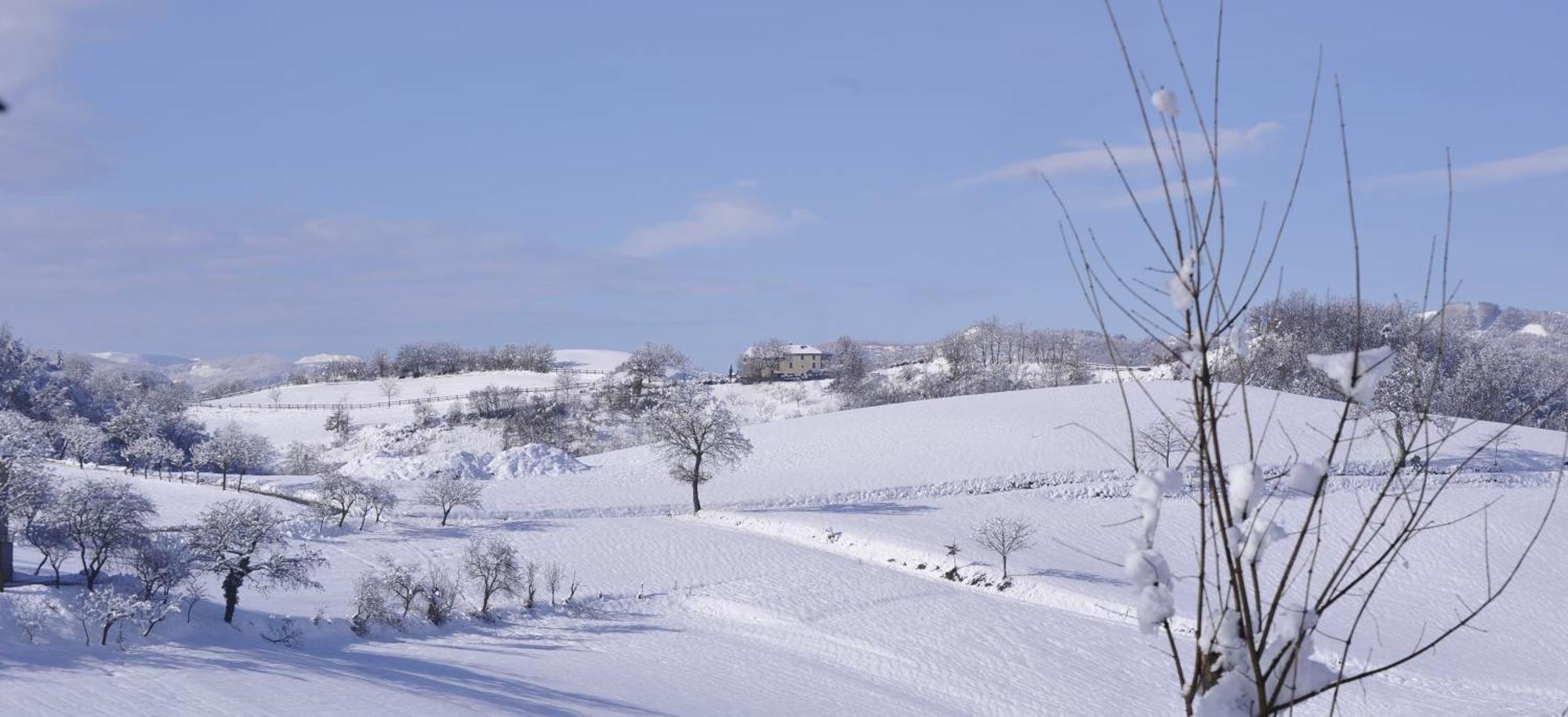 Agriturismo Campo Del Pillo Pietradura Exteriör bild