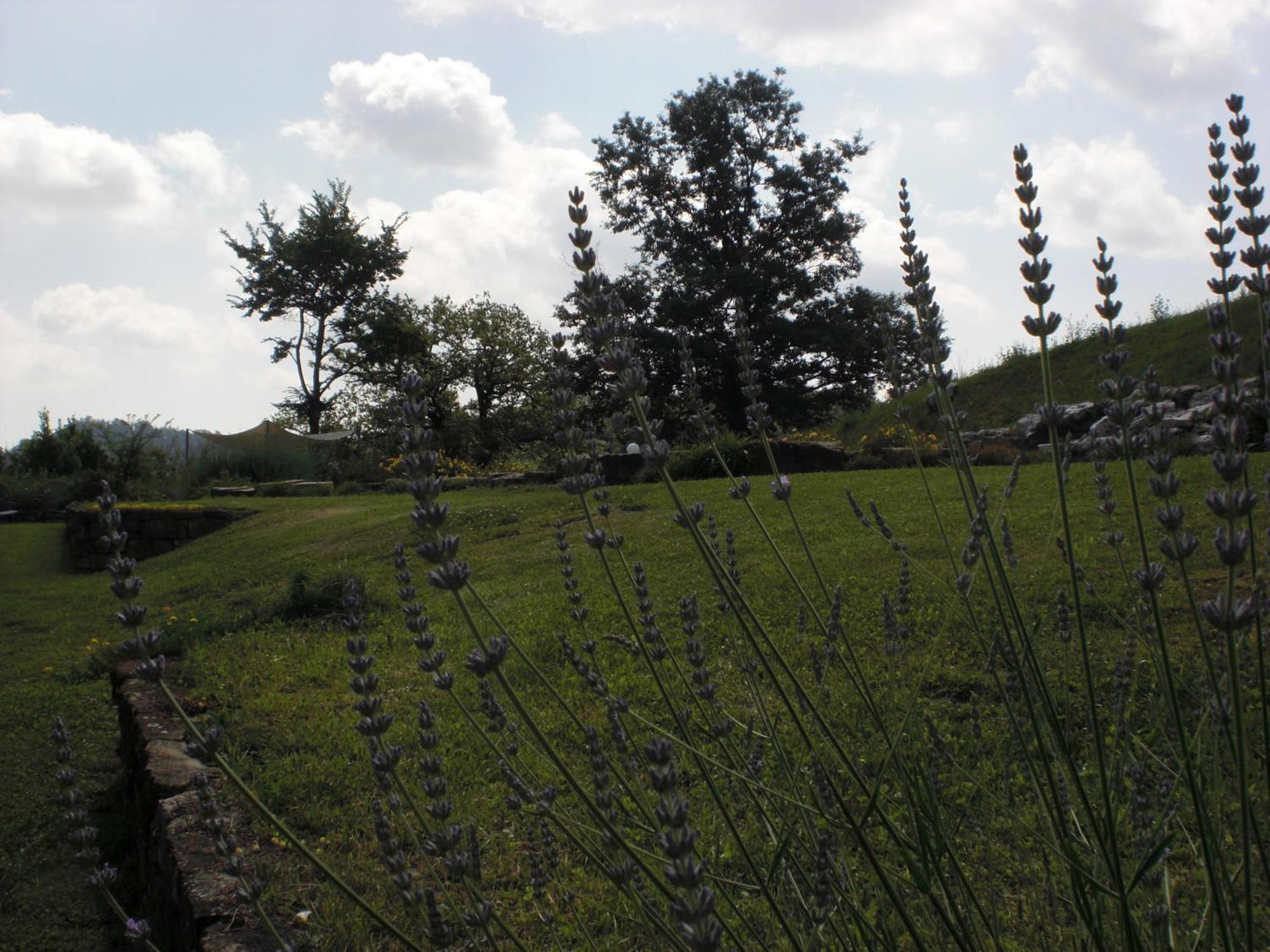 Agriturismo Campo Del Pillo Pietradura Exteriör bild
